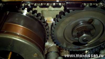                 Chek Engine