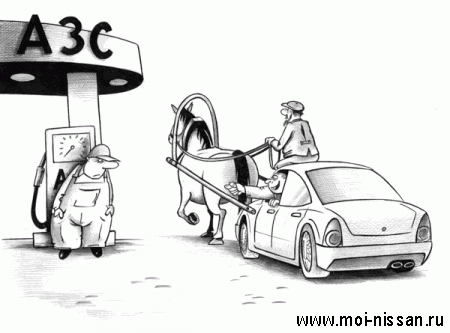 36,5 рубля за литр бензина, на всех заправках страны.