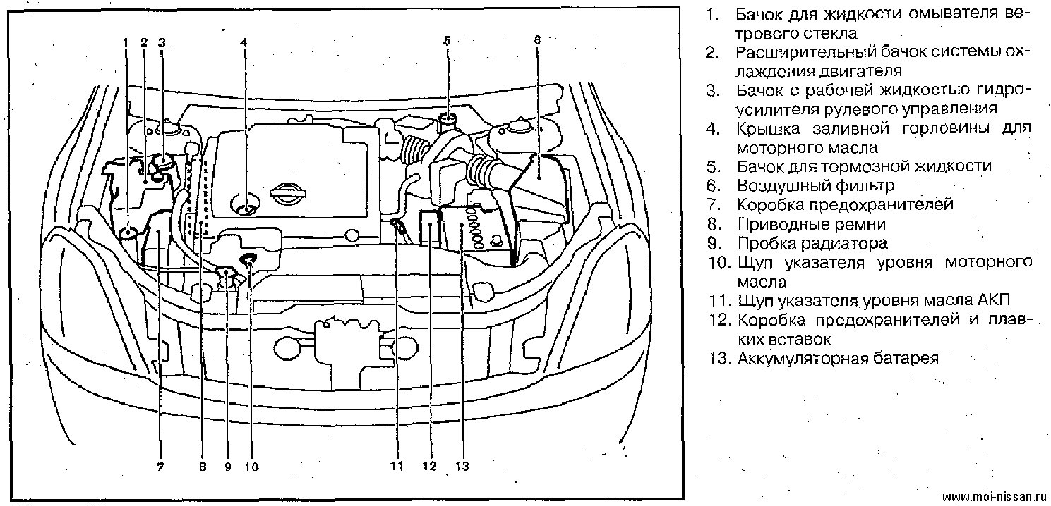 Названия деталей под капотом. Схема моторного отсека Nissan Terrano 2011. Ниссан Альмера Классик 2006 моторный отсек схема. Схема моторного отсека Nissan x-Trail расположение. Nissan x Trail 2,5 моторный отсек схема.